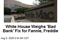 White House Weighs 'Bad Bank' Fix for Fannie, Freddie