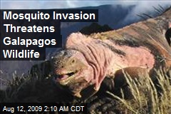 Mosquito Invasion Threatens Galapagos Wildlife