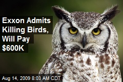 Exxon Admits Killing Birds, Will Pay $600K