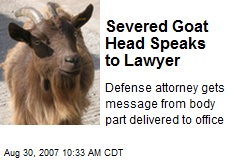 Severed Goat Head Speaks to Lawyer