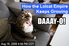 How the Lolcat Empire Keeps Growing