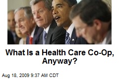 What Is a Health Care Co-Op, Anyway?