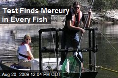 Test Finds Mercury in Every Fish