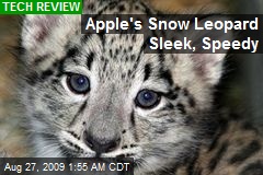 Apple's Snow Leopard Sleek, Speedy