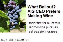 What Bailout? AIG CEO Prefers Making Wine