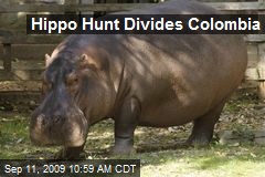 Hippo Hunt Divides Colombia