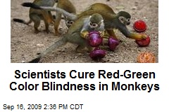 Scientists Cure Red-Green Color Blindness in Monkeys