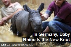 In Germany, Baby Rhino Is the New Knut