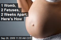 1 Womb, 2 Fetuses, 2 Weeks Apart: Here's How