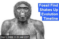 Fossil Find Shakes Up Evolution Timeline