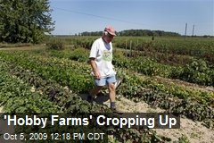 'Hobby Farms' Cropping Up