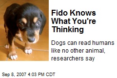 Fido Knows What You're Thinking
