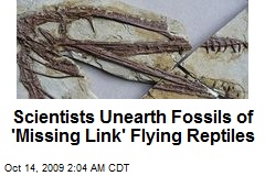 Scientists Unearth Fossils of 'Missing Link' Flying Reptiles