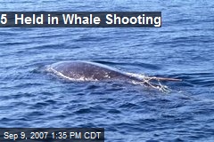 5 Held in Whale Shooting