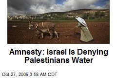 Amnesty: Israel Is Denying Palestinians Water