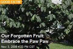 Our Forgotten Fruit: Embrace the Paw Paw