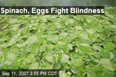 Spinach, Eggs Fight Blindness