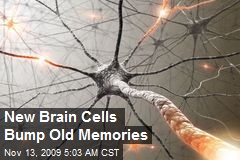 New Brain Cells Bump Old Memories