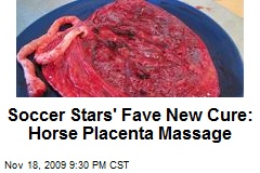 Soccer Stars' Fave New Cure: Horse Placenta Massage