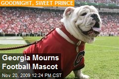 Georgia Mourns Football Mascot
