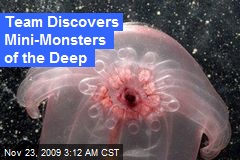 Team Discovers Mini-Monsters of the Deep