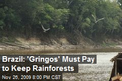 Brazil: 'Gringos' Must Pay to Keep Rainforests