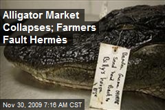 Alligator Market Collapses; Farmers Fault Herm&egrave;s