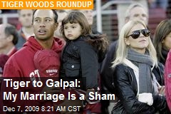 Tiger to Galpal: My Marriage Is a Sham