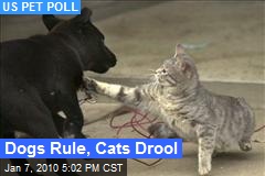 Dogs Rule, Cats Drool