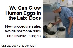 We Can Grow Human Eggs in the Lab: Docs