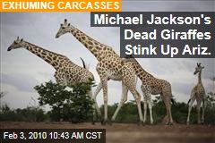 Michael Jackson's Dead Giraffes Stink Up Ariz.