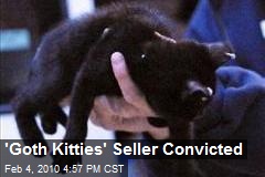 'Goth Kitties' Seller Convicted
