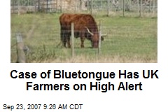 Case of Bluetongue Has UK Farmers on High Alert
