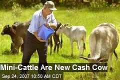 Mini-Cattle Are New Cash Cow