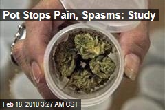 Pot Stops Pain, Spasms: Study