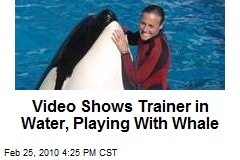 Video Shows Trainer in Water, Playing With Whale