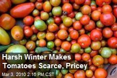Harsh Winter Makes Tomatoes Scarce, Pricey