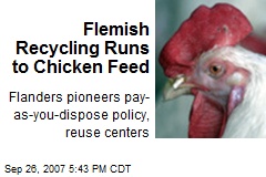 Flemish Recycling Runs to Chicken Feed