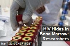 HIV Hides in Bone Marrow: Researchers