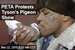 PETA Protests Tyson's Pigeon Show