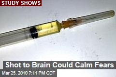 Shot to Brain Could Calm Fears