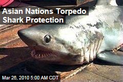Asian Nations Torpedo Shark Protection