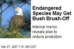 Endangered Species May Get Bush Brush-Off