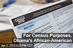 For Census Purposes, Obama's African-American
