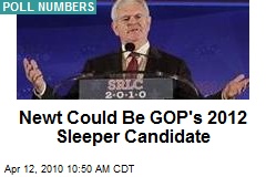 Newt Could Be GOP's 2012 Sleeper Candidate