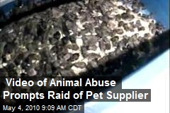 Video of Animal Abuse Prompts Raid of Pet Supplier