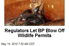Regulators Let BP Blow Off Wildlife Permits