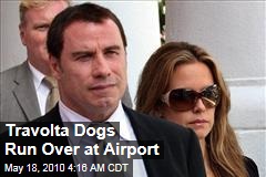 Travolta Dogs Run Over at Airport