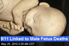 9/11 Linked to Male Fetus Deaths