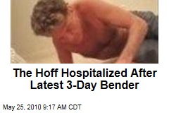 The Hoff Hospitalized After Latest 3-Day Bender